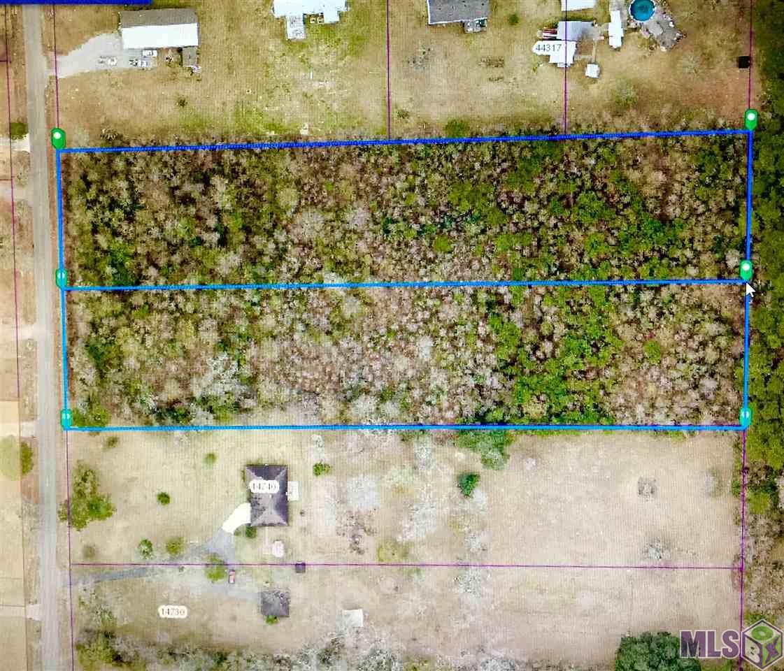 14758 Harry Savoy Road St. Amant, LA 70774 - Photo 3 of 3