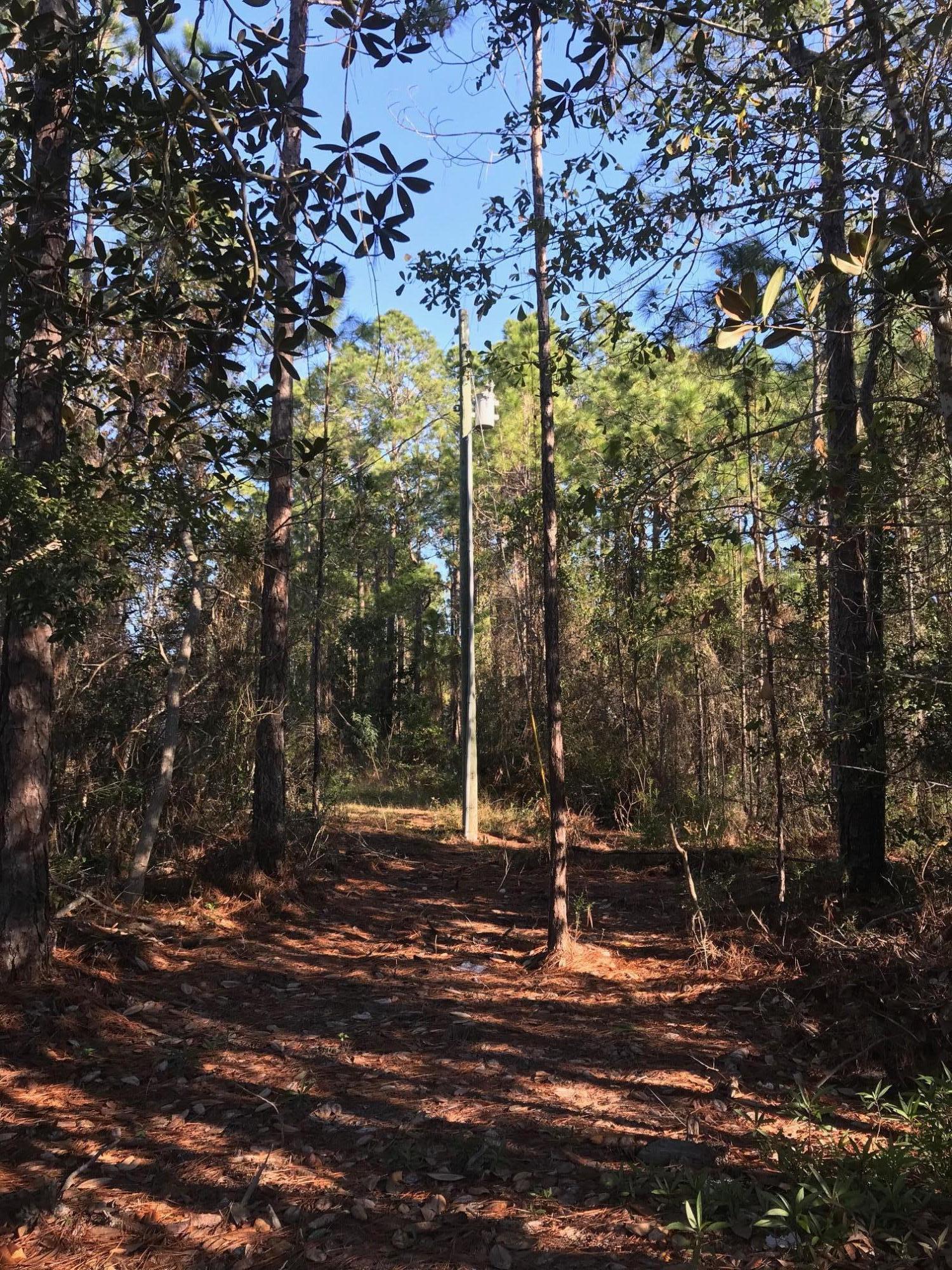 0 4th Street Santa Rosa Beach, FL 32459 - Photo 2 of 6 a backyard of a house with lots of green space