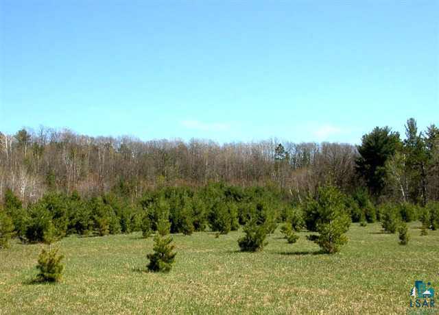 Lot 1 Northern Lights Road Hayward, WI 54843 - Photo 1 of 2 Gallery Image 1