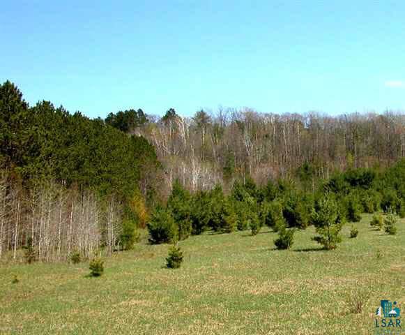 Lot 1 Northern Lights Road Hayward, WI 54843 - Photo 2 of 2 Gallery Image 2