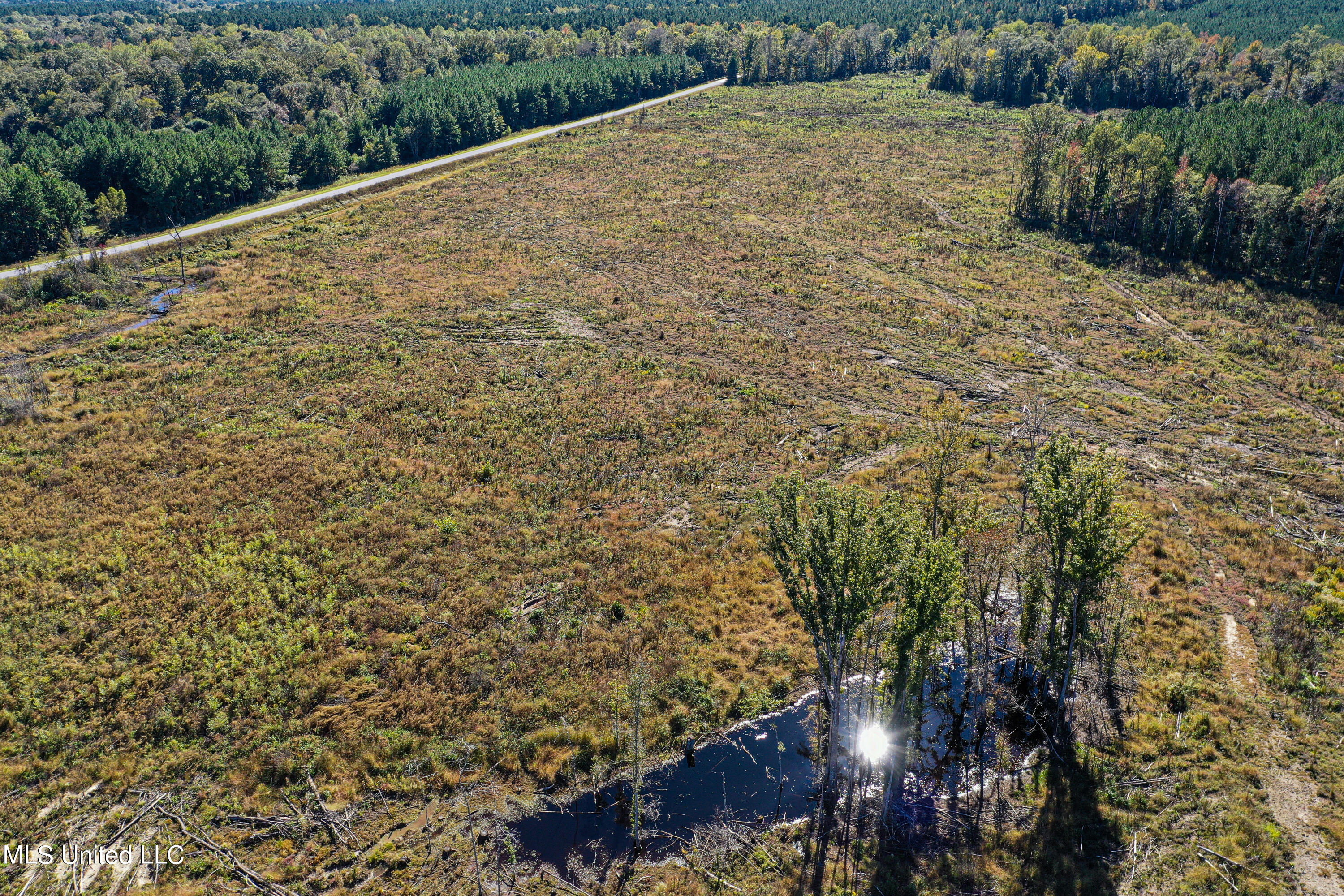 0 Hickory Nut Road Little Rock, MS 39337 - Photo 16 of 36 DJI_0093
