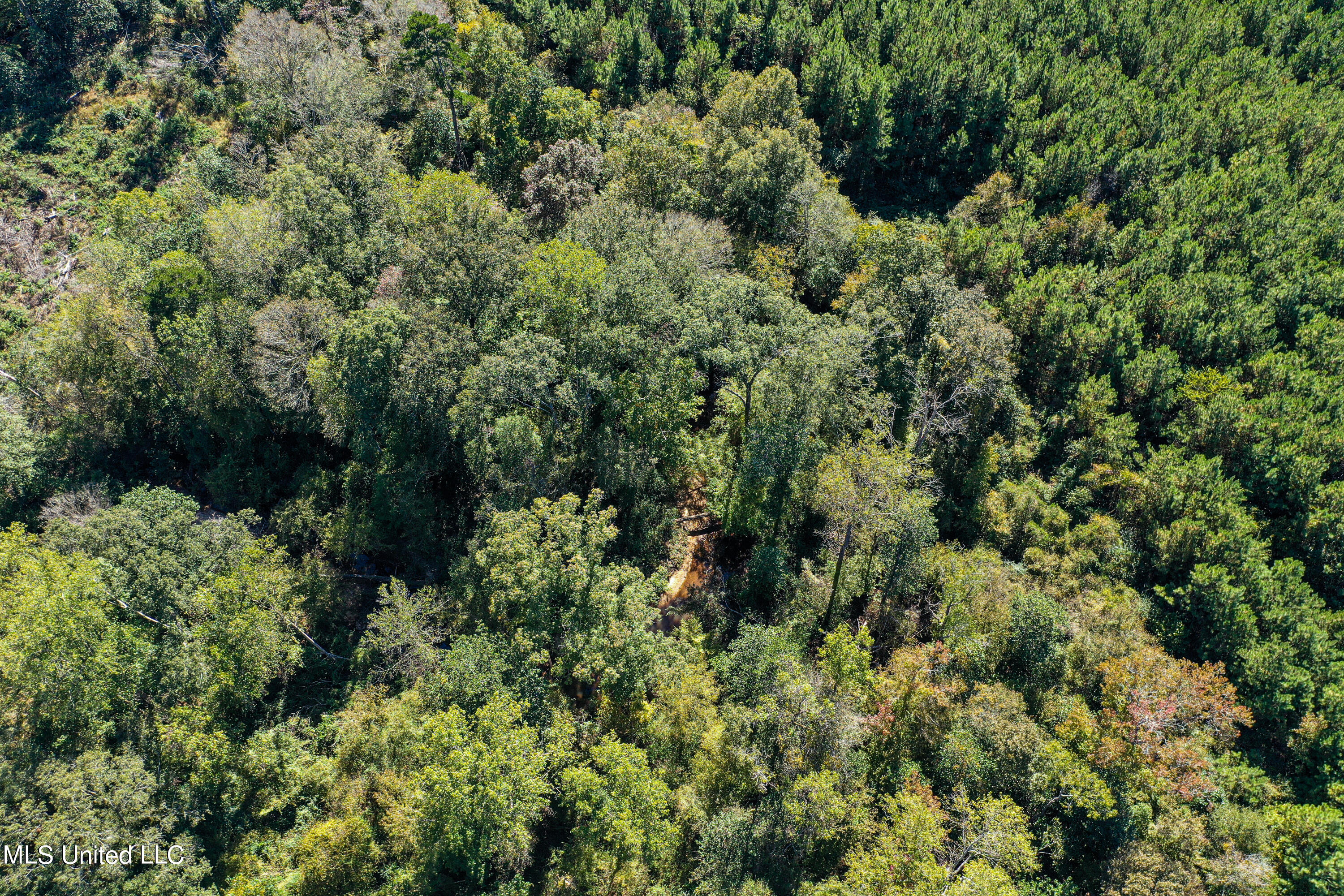 0 Hickory Nut Road Little Rock, MS 39337 - Photo 20 of 36 DJI_0088