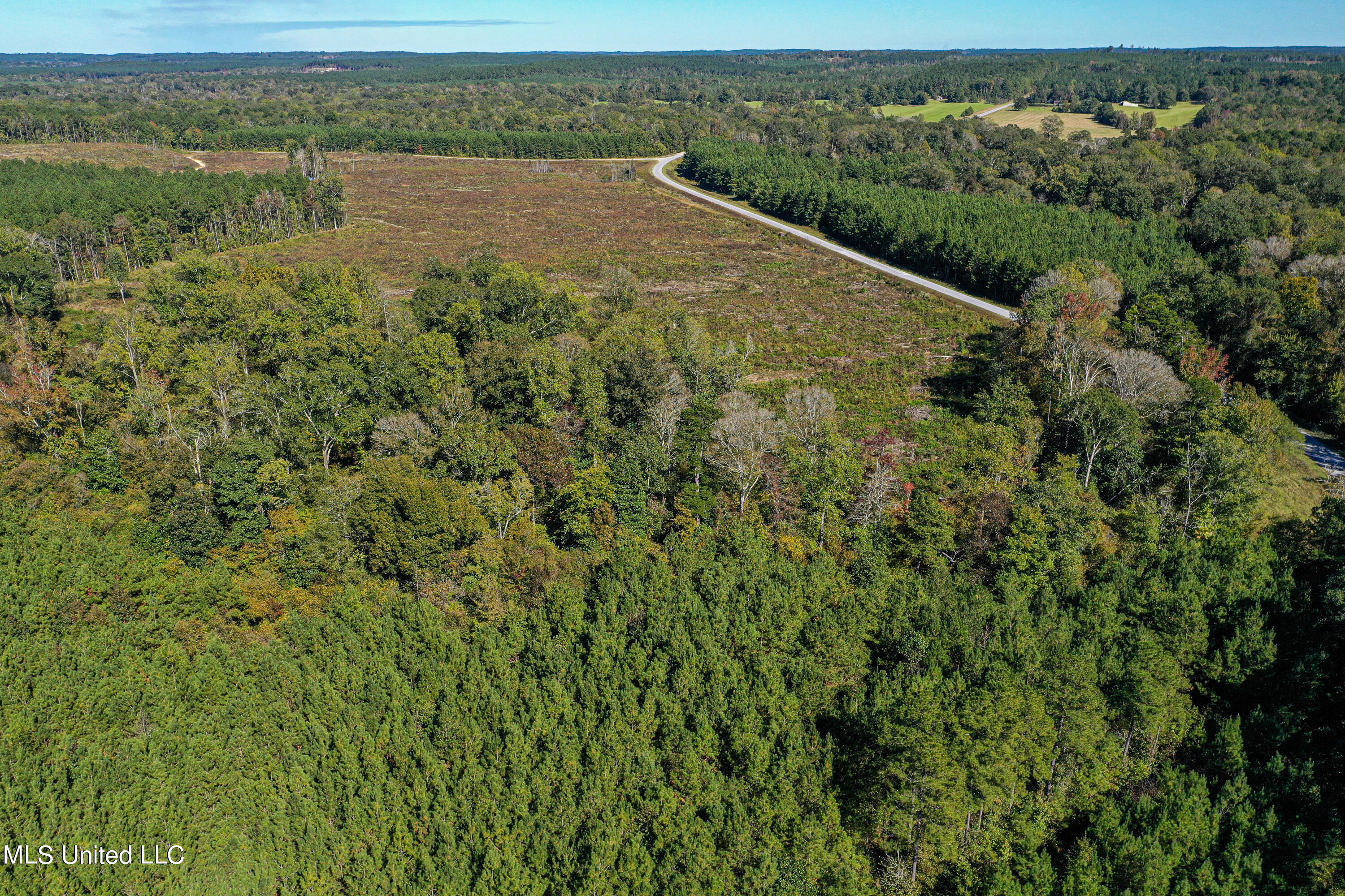 0 Hickory Nut Road Little Rock, MS 39337 - Photo 24 of 36 DJI_0082