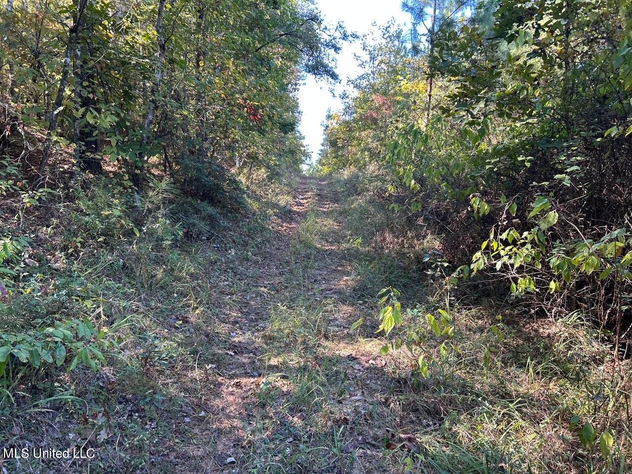 0 Hickory Nut Road Little Rock, MS 39337 - Photo 36 of 36 IMG_0633