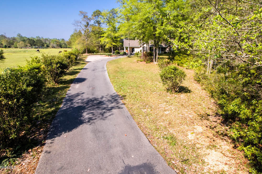 16281 Old Joe Moran Road Kiln, MS 39556 - Photo 4 of 26 Outside driveway to home