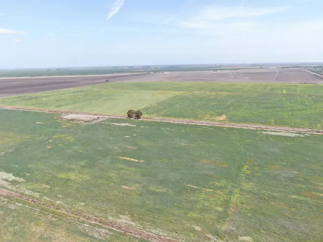 a view of a field with an ocean