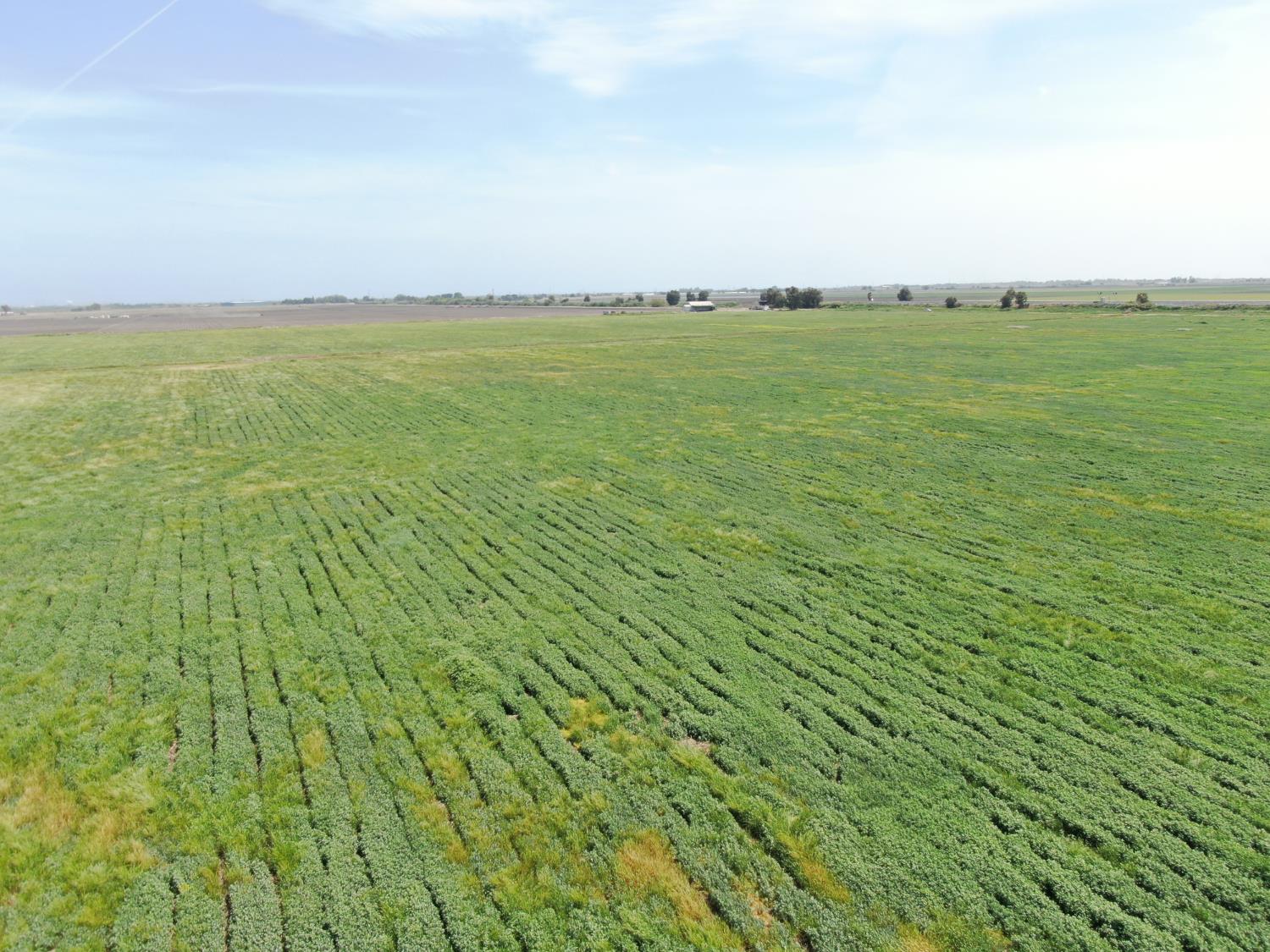 12500 West Lower Jones Road Stockton, CA 95206 - Photo 17 of 19 a view of an ocean