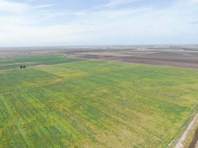 a view of yard with ocean view