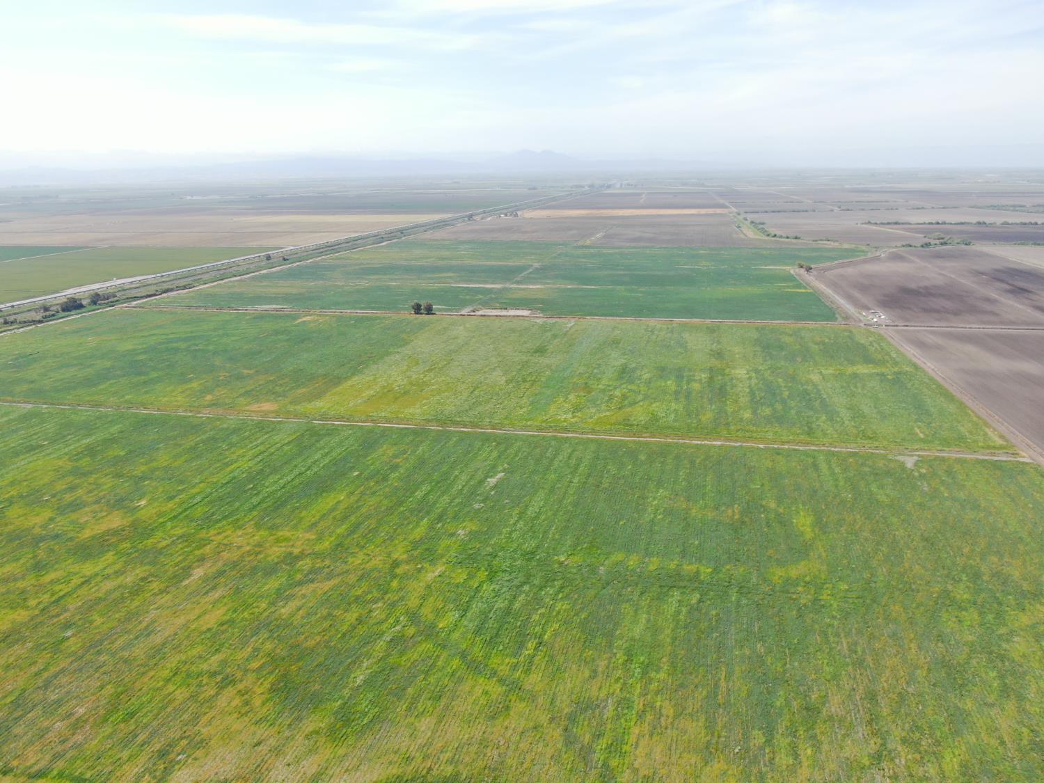 12500 West Lower Jones Road Stockton, CA 95206 - Photo 7 of 19 a view of yard with ocean view
