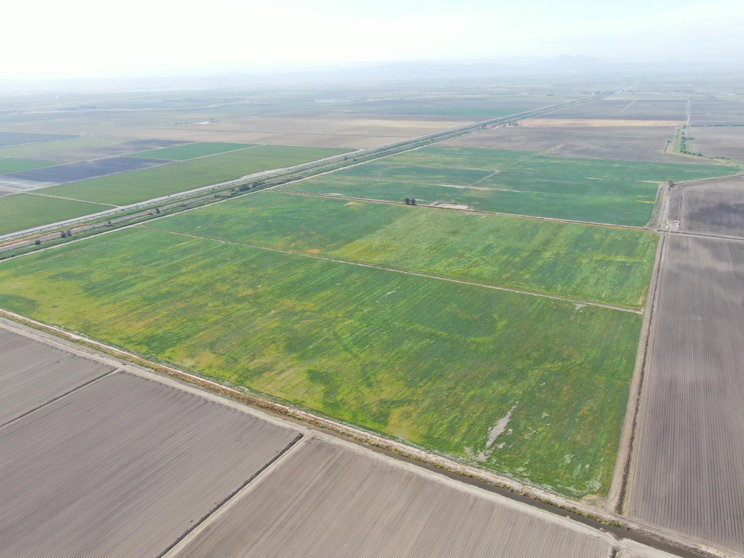 12500 West Lower Jones Road Stockton, CA 95206 - Photo 8 of 19 a view of a field with an ocean view