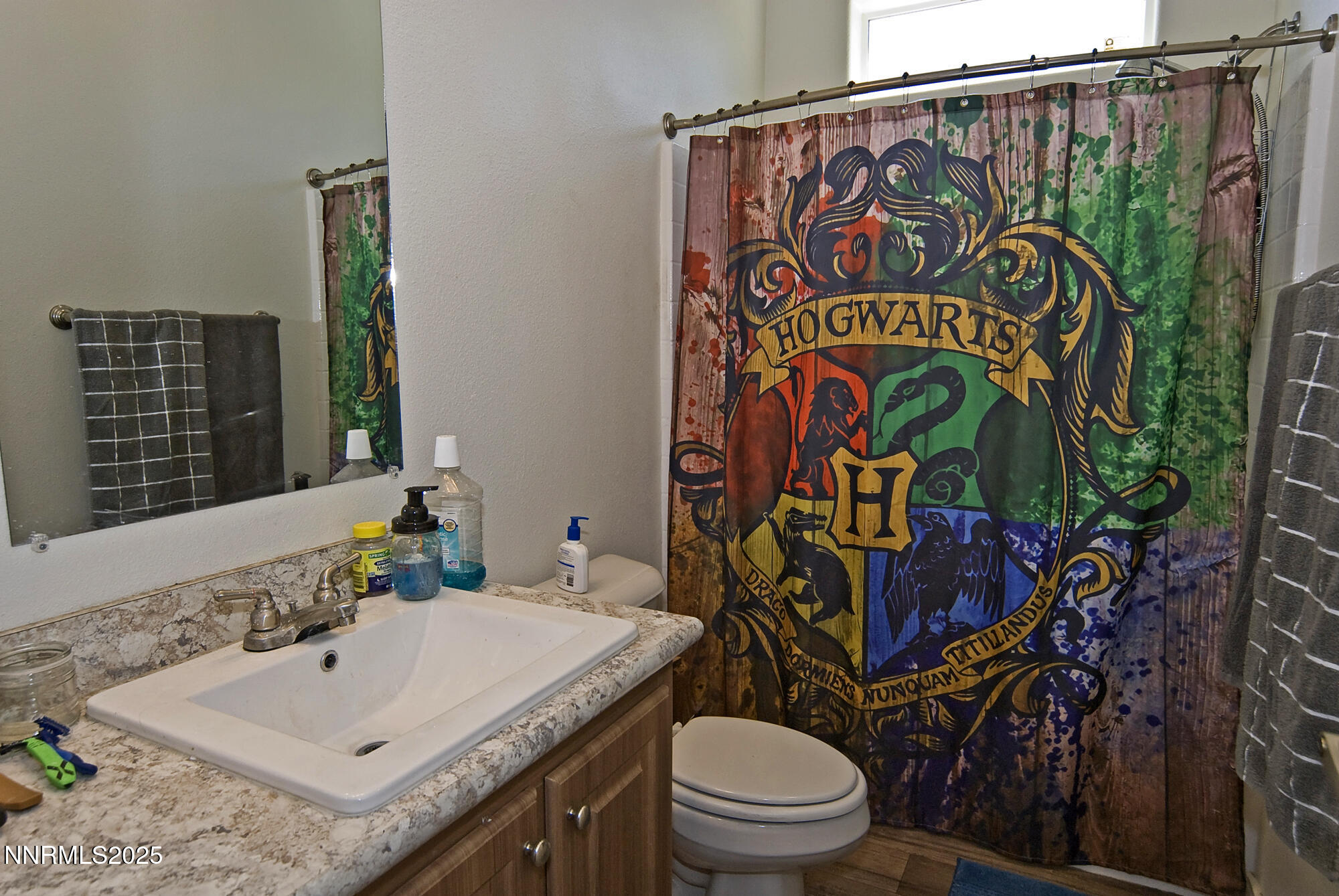 3800 Sandpiper Drive Reno, NV 89508 - Photo 4 of 18 a bathroom with a sink mirror vanity and toilet