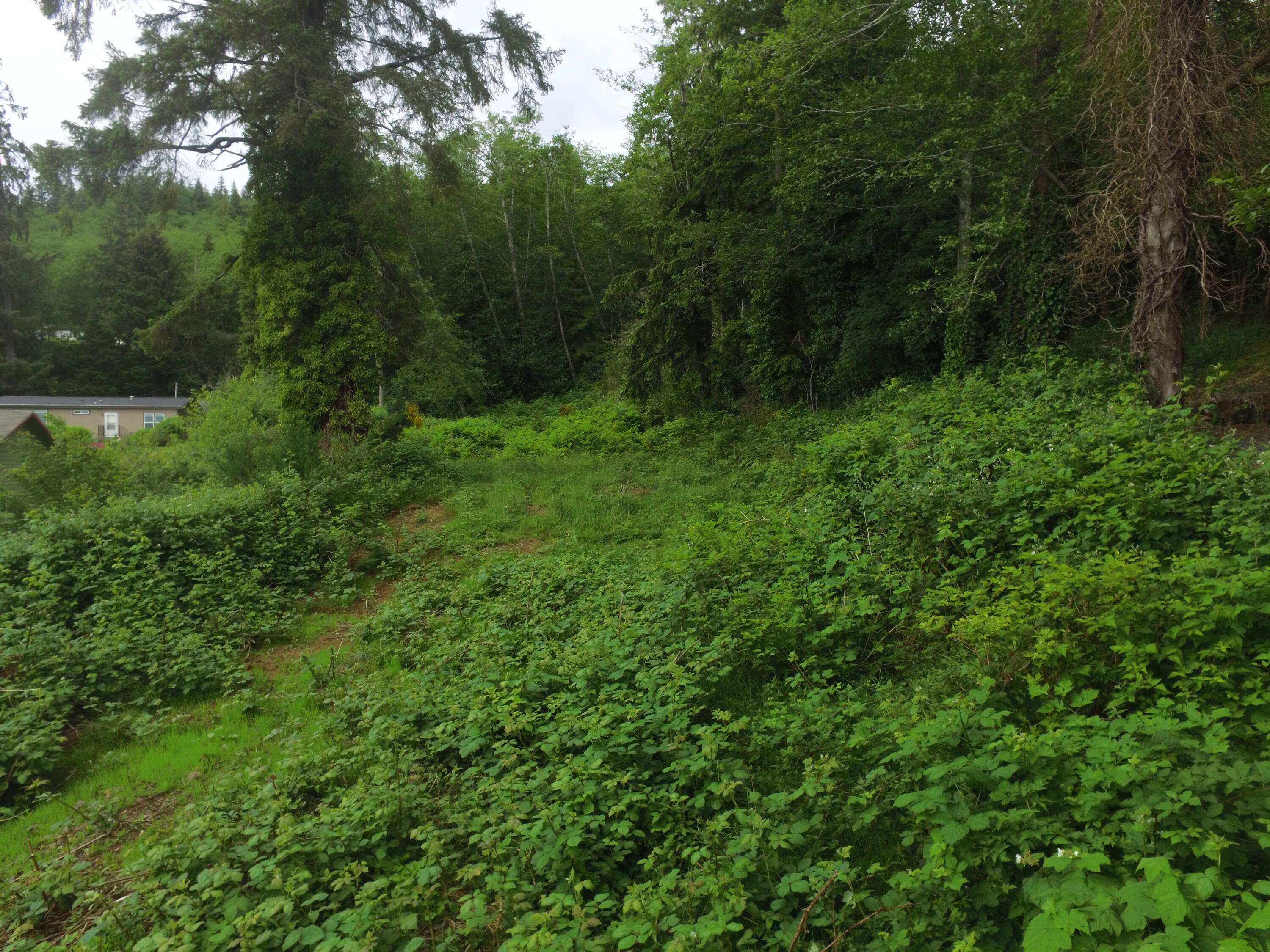 Vl Halverson Lane Garibaldi, OR 97118 - Photo 18 of 19 DJI_0002