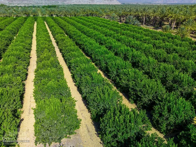 $625,000 | 0 Ave 67 & Van Buren Street, Thermal, CA 92274