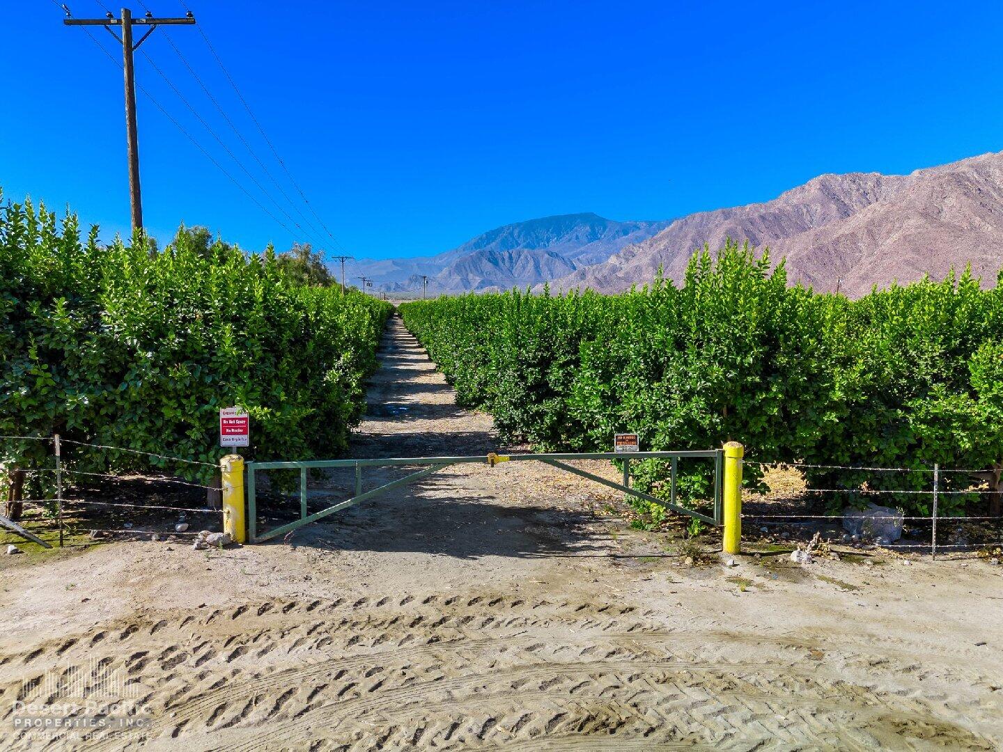 0 Ave 67 & Van Buren Street Thermal, CA 92274 - Photo 22 of 38 9.11 AC NWC Van Buren St & Ave 67, VSR P