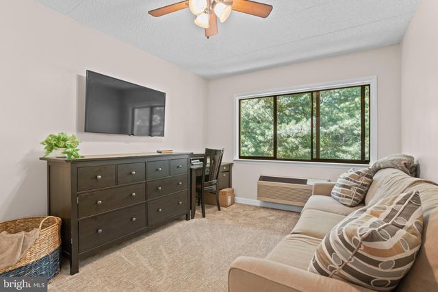 a view of a park with large trees