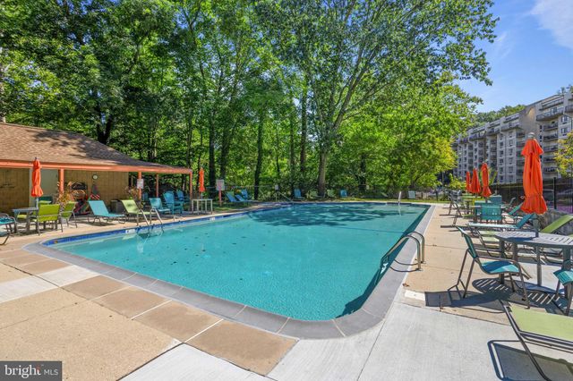 a view of a park with large trees