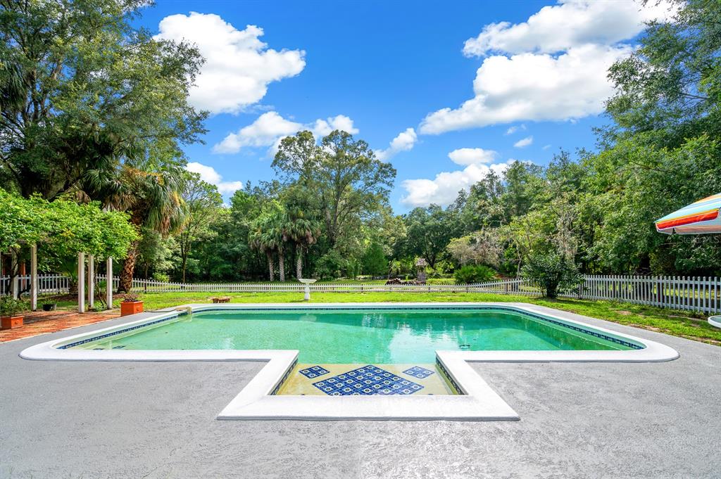 7201 Southwest 97th Lane Gainesville, FL 32608 - Photo 50 of 68 a view of a swimming pool with a yard and a large tree