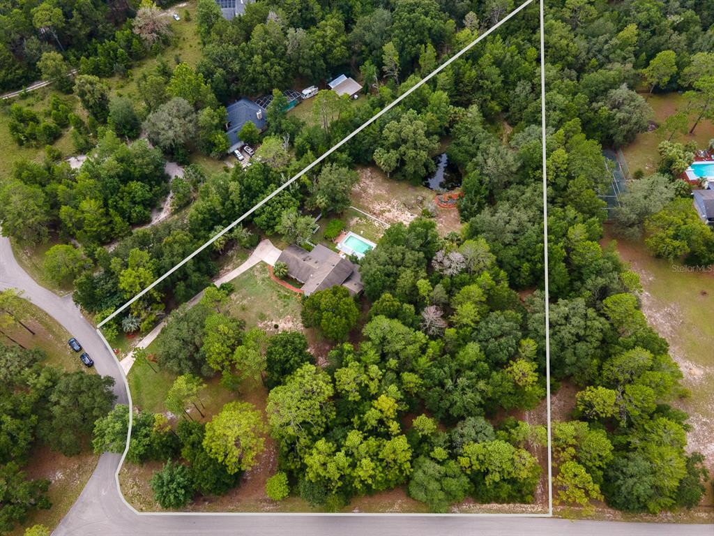 7201 Southwest 97th Lane Gainesville, FL 32608 - Photo 65 of 68 a view of a house with a lush green forest
