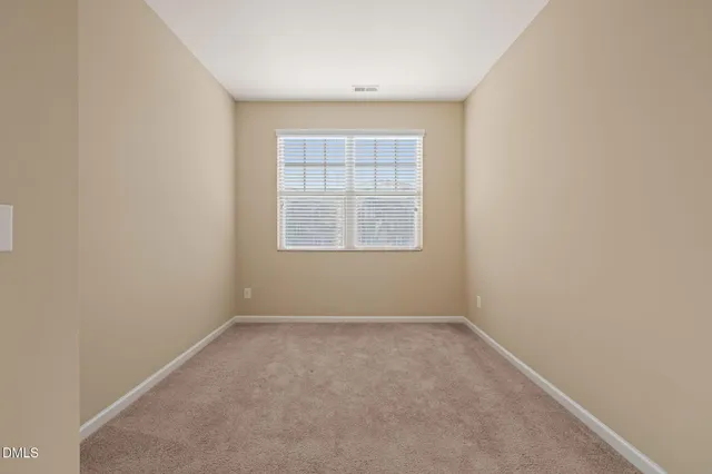 a view of a tree next to a road