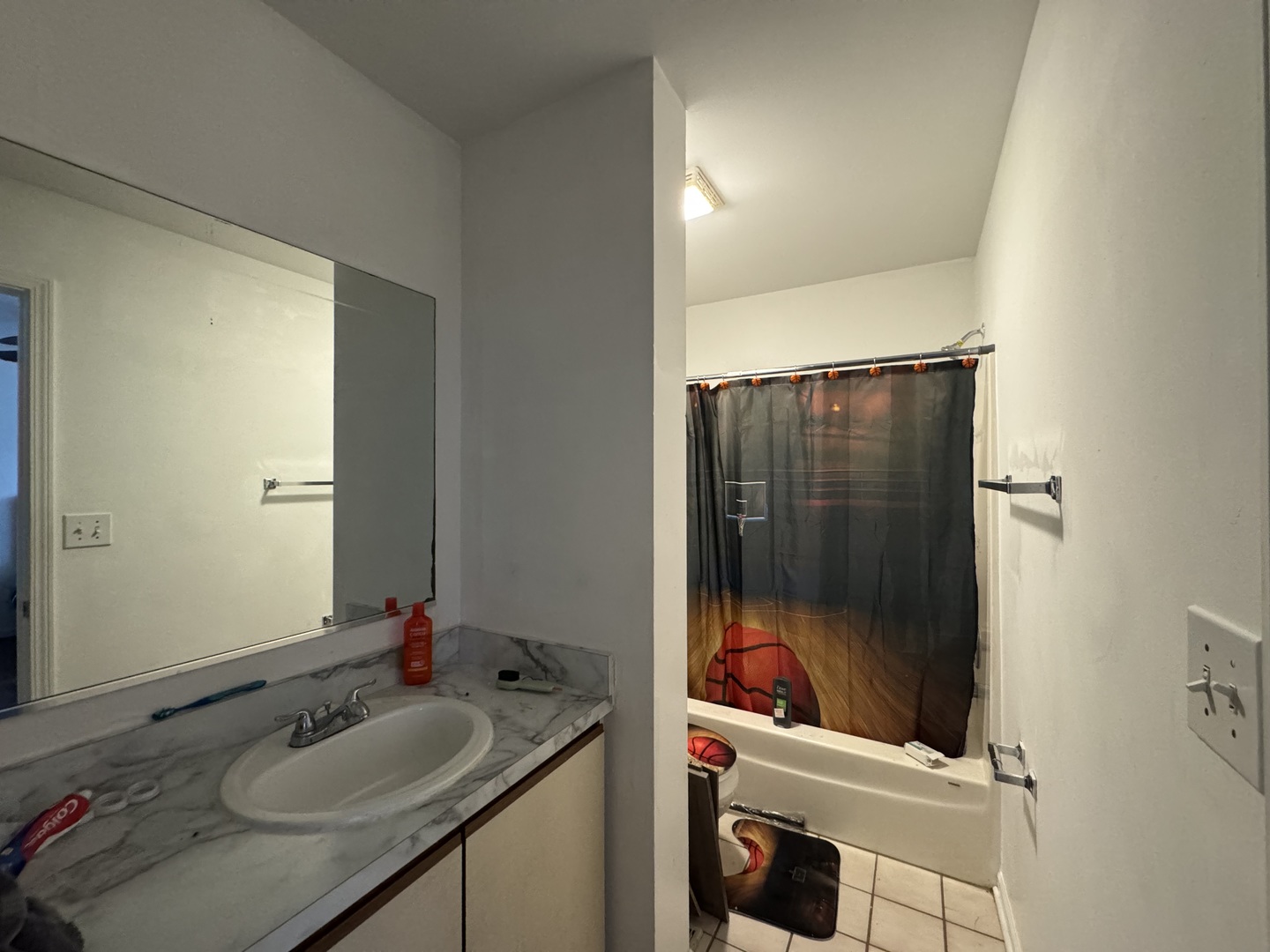 2605 East Martha Place Chicago, IL 60633 - Photo 10 of 10 a bathroom with a sink and a mirror
