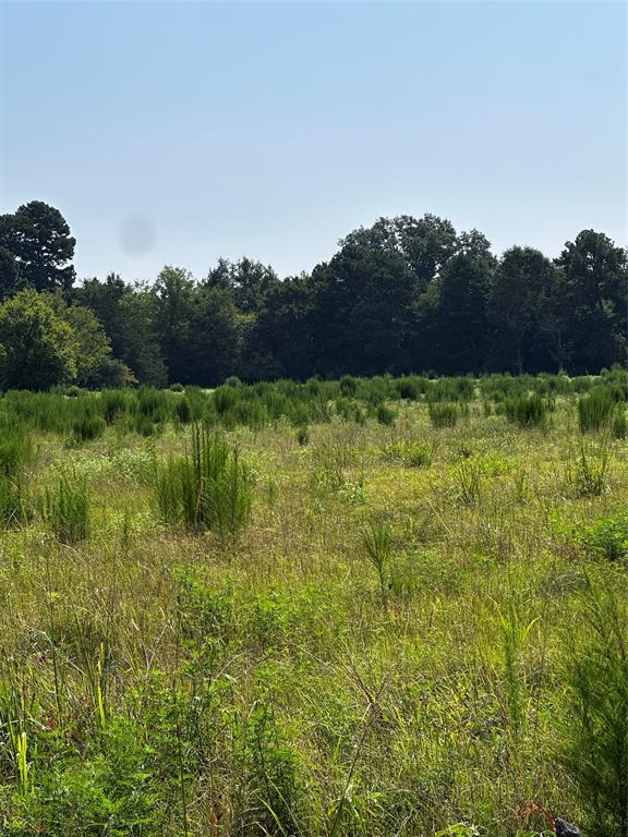 1 Fm-144 Daingerfield, TX 75638 - Photo 2 of 20 a view of a garden