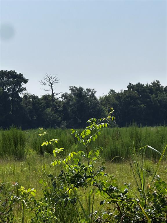 1 Fm-144 Daingerfield, TX 75638 - Photo 3 of 20 a view of a garden