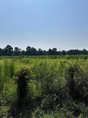 a view of a lake with a mountain in the background