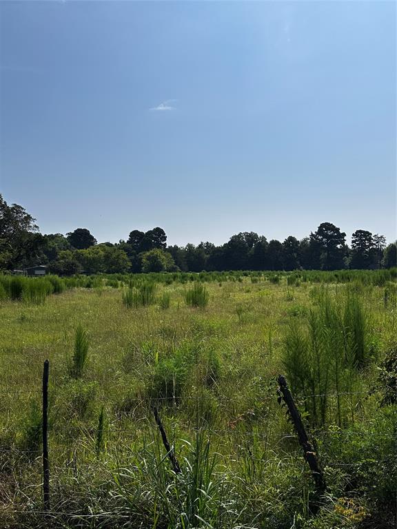 1 Fm-144 Daingerfield, TX 75638 - Photo 5 of 20