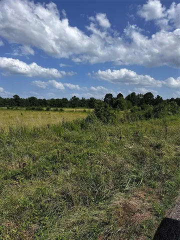 a view of a lush green field with a tree in the background