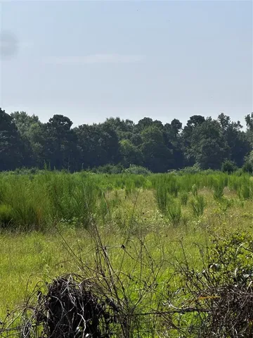 a view of a lake with a house in the background