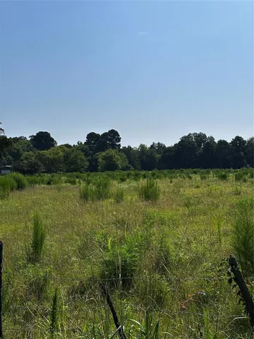 a view of a road with a yard