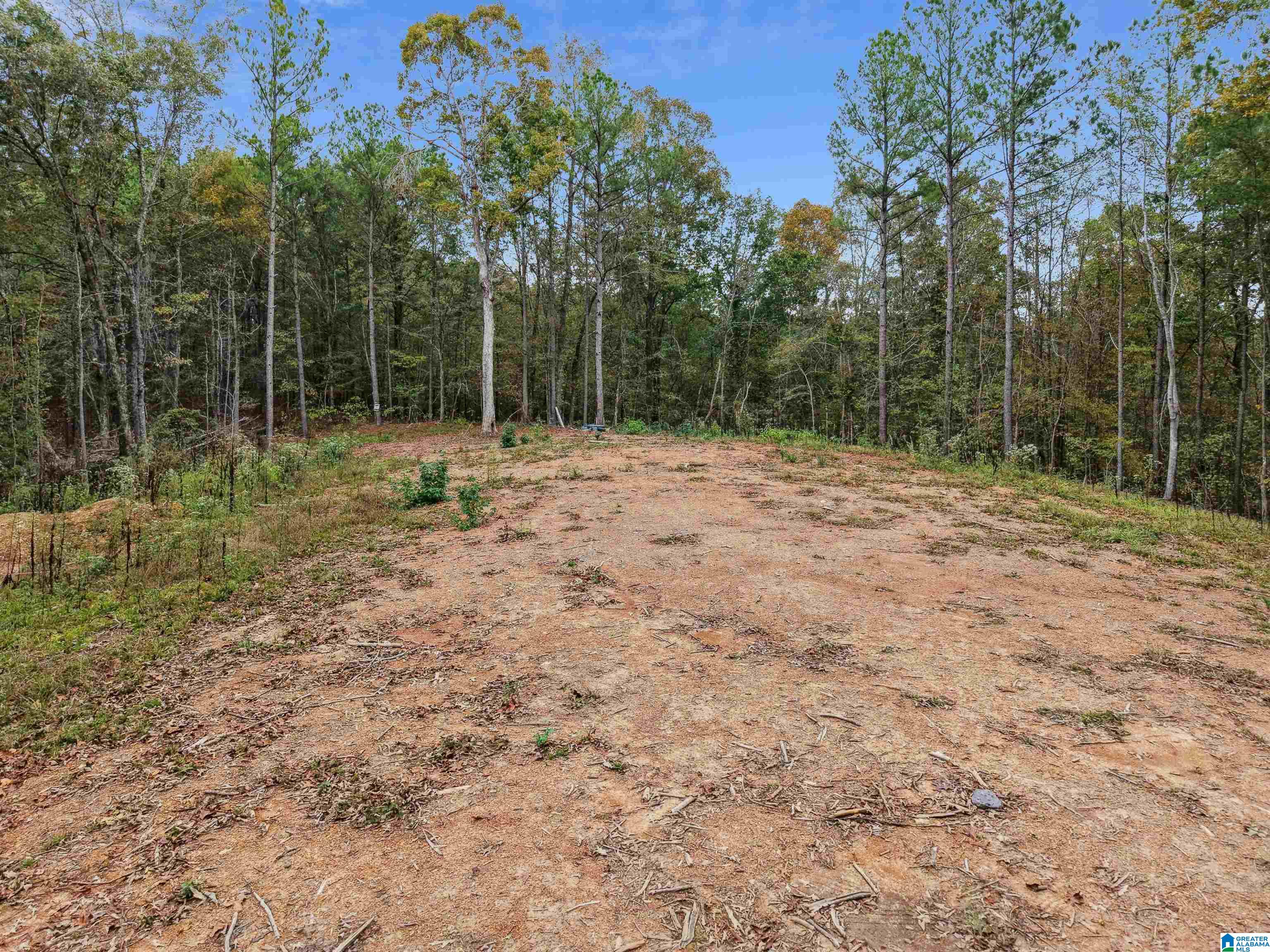 1215 Buddy Vines Camp Road Bessemer, AL 35023 - Photo 10 of 25