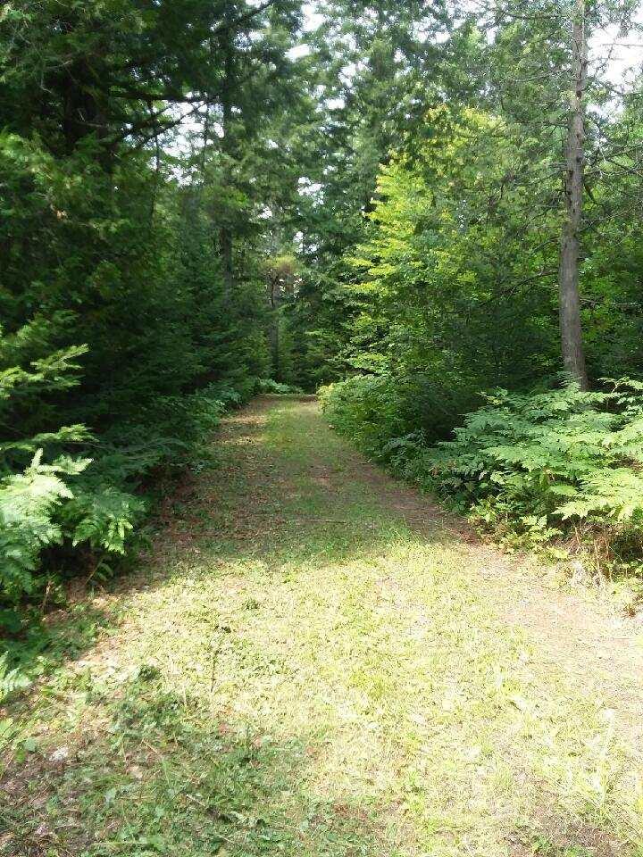 0 West Edge Road Germfask, MI 49836 - Photo 17 of 26 Gallery Image 17