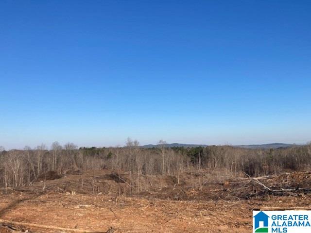 1925 Coaling Road, Unit 240 AC Sylacauga, AL 35151 - Photo 1 of 8