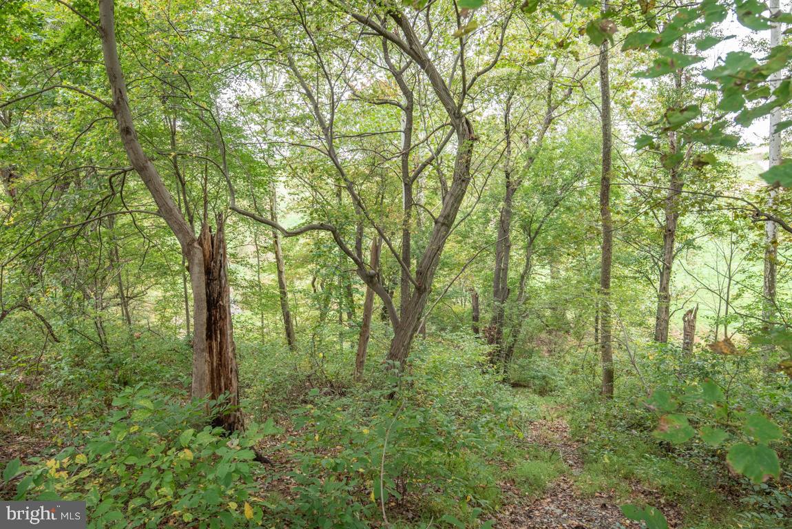 363 Sproul Road Kirkwood, PA 17536 - Photo 58 of 60