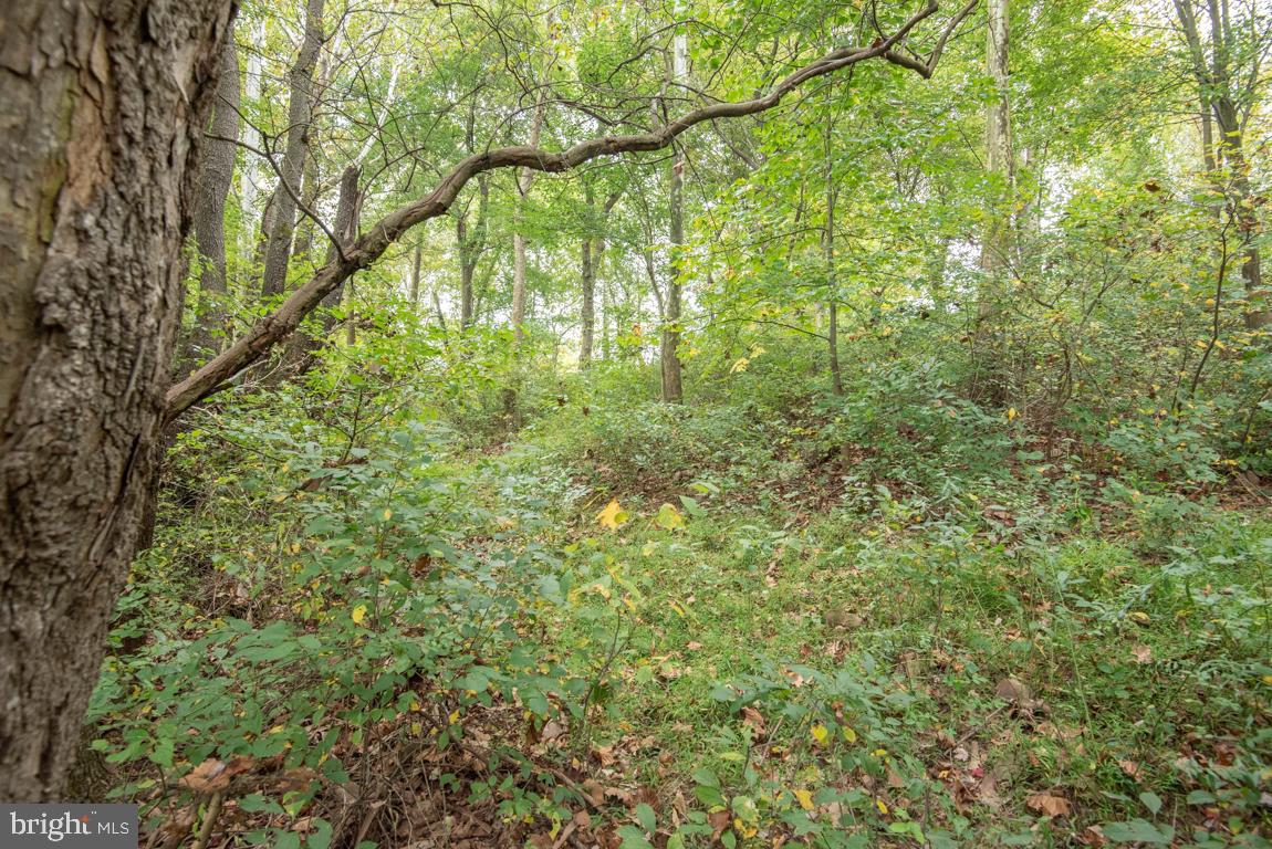 363 Sproul Road Kirkwood, PA 17536 - Photo 59 of 60