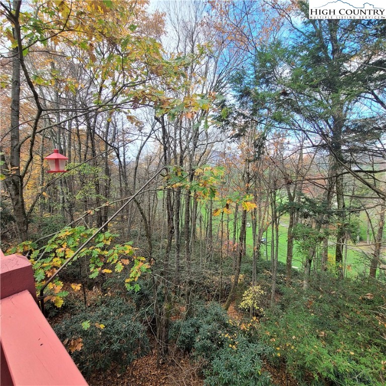 873 Fairway Drive Boone, NC 28607 - Photo 41 of 49 Gallery Image 41