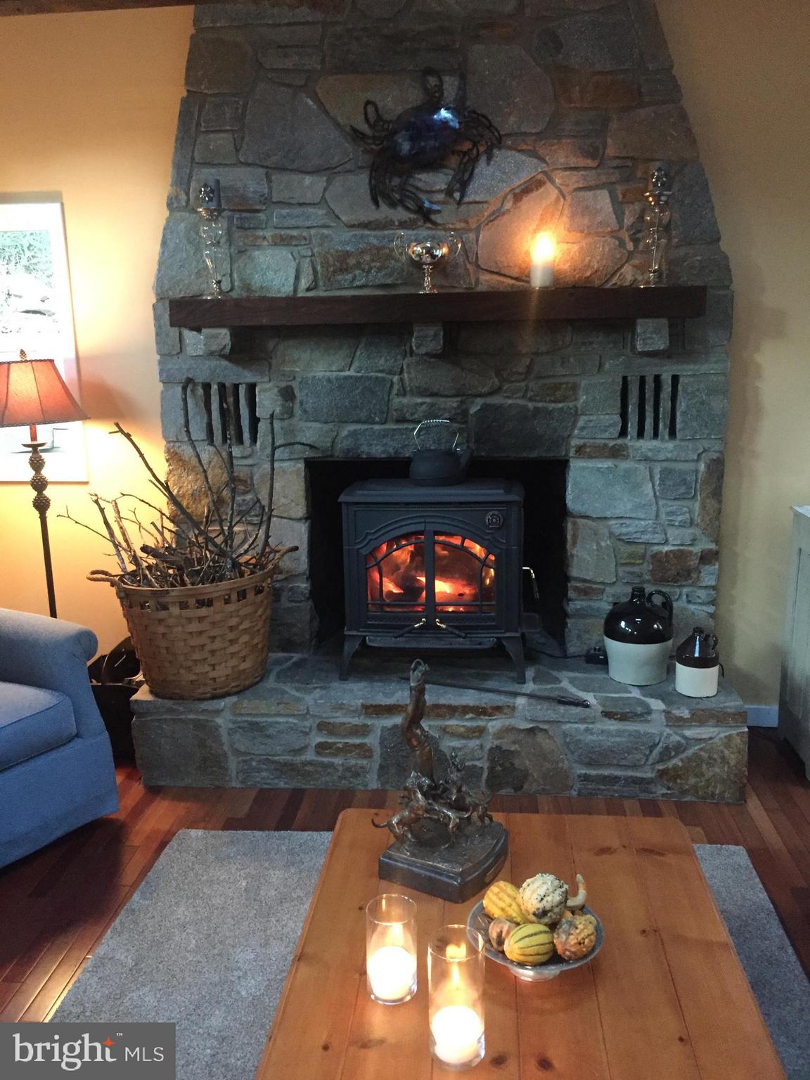 2016 Shepperd Road Monkton, MD 21111 - Photo 14 of 55 This Insert heats up the whole house!