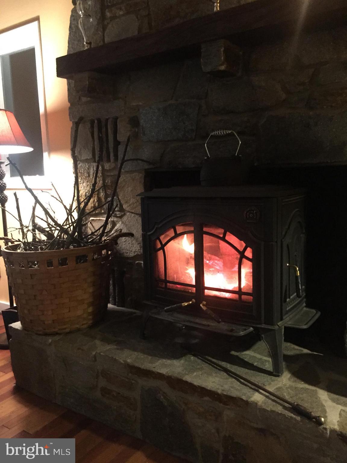 2016 Shepperd Road Monkton, MD 21111 - Photo 15 of 55 Isn't this fireplace romantic?