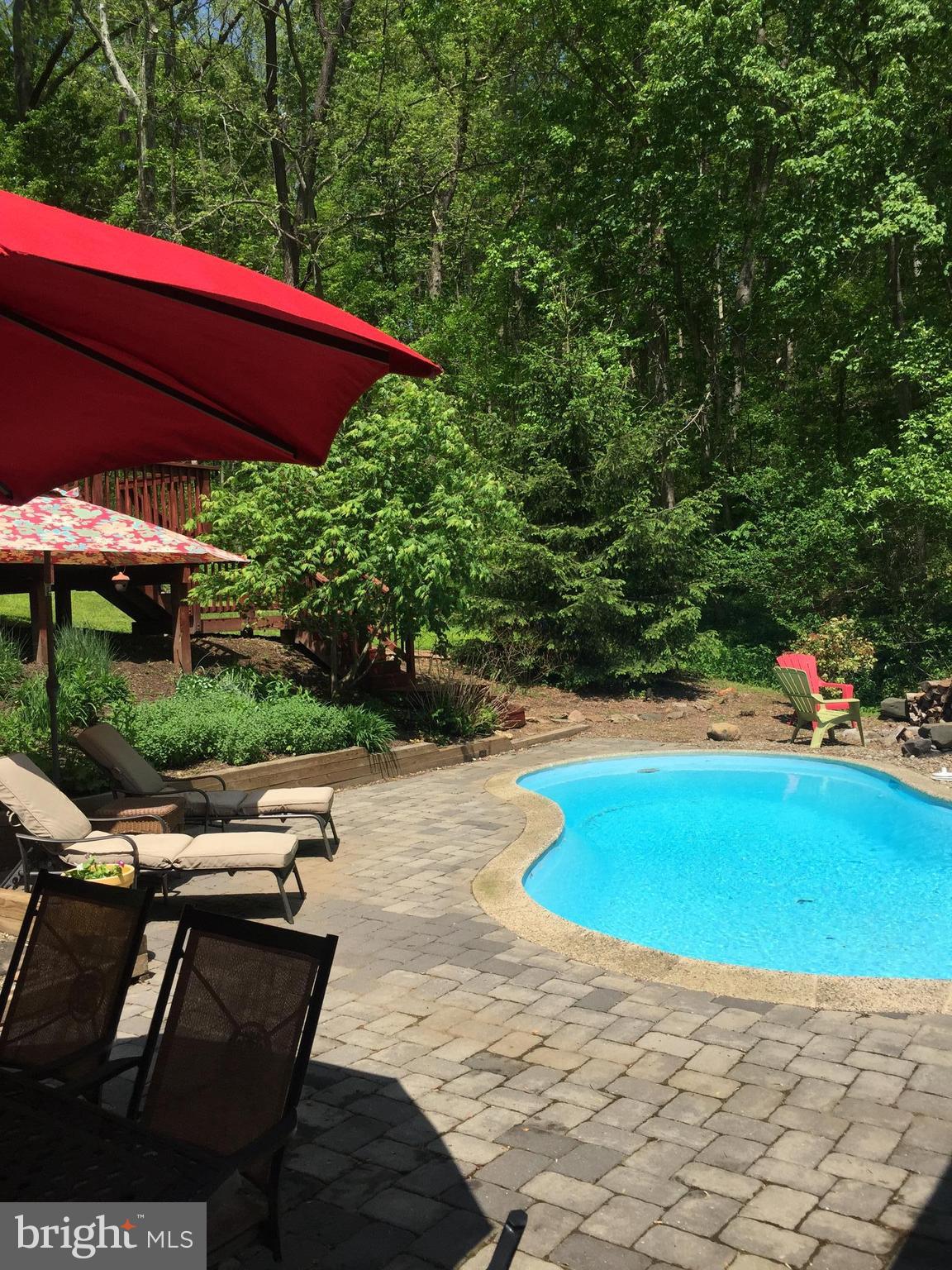 2016 Shepperd Road Monkton, MD 21111 - Photo 30 of 55 STONE POOL SURROUND