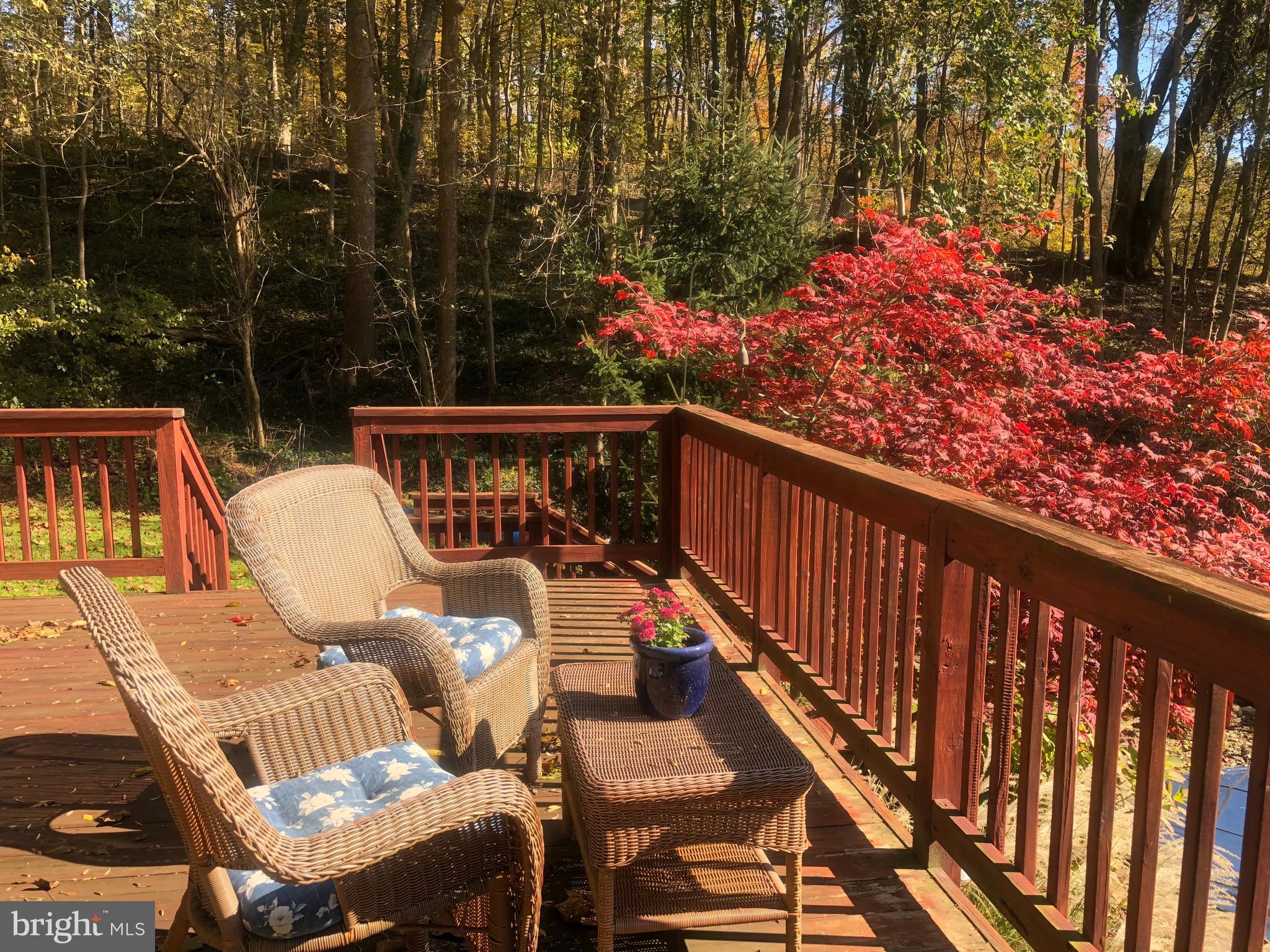 2016 Shepperd Road Monkton, MD 21111 - Photo 35 of 55 READ A BOOK OR RELAX