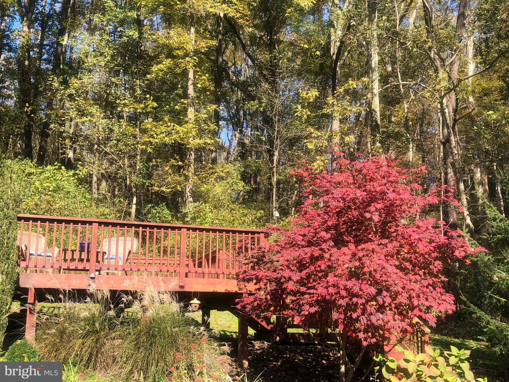 2016 Shepperd Road Monkton, MD 21111 - Photo 36 of 55 VERY PRIVATE LOT, SURROUNDED BY TREES