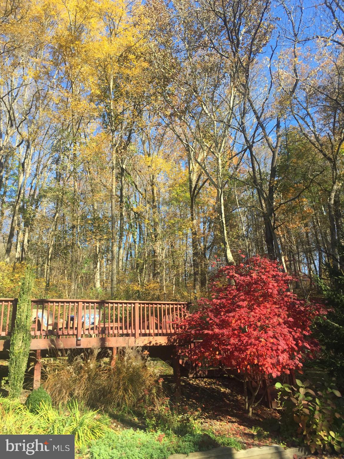 2016 Shepperd Road Monkton, MD 21111 - Photo 51 of 55 Beautiful Fall color