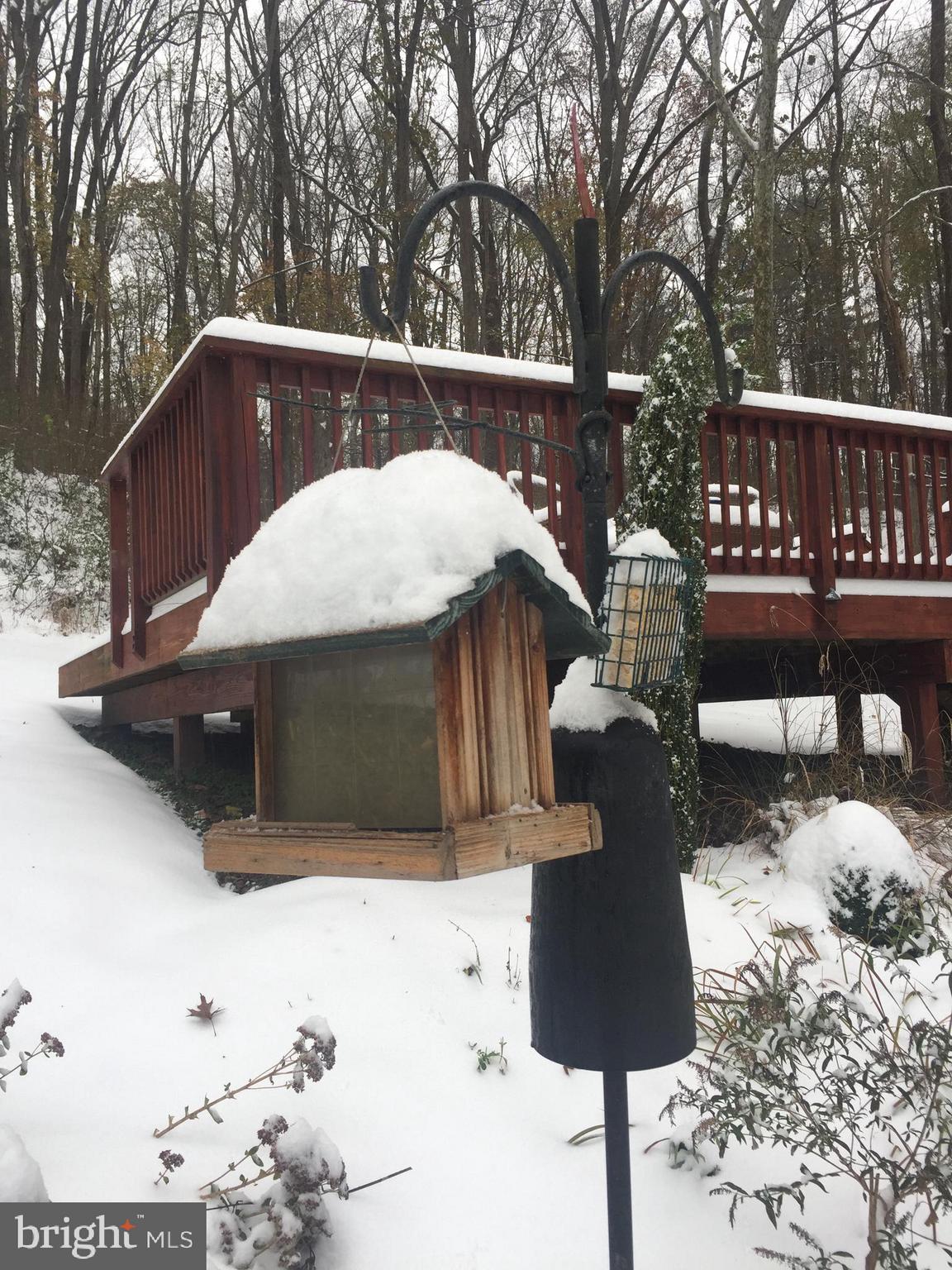 2016 Shepperd Road Monkton, MD 21111 - Photo 52 of 55 Snowy day