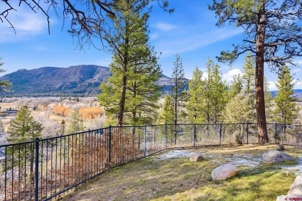 a view of a backyard