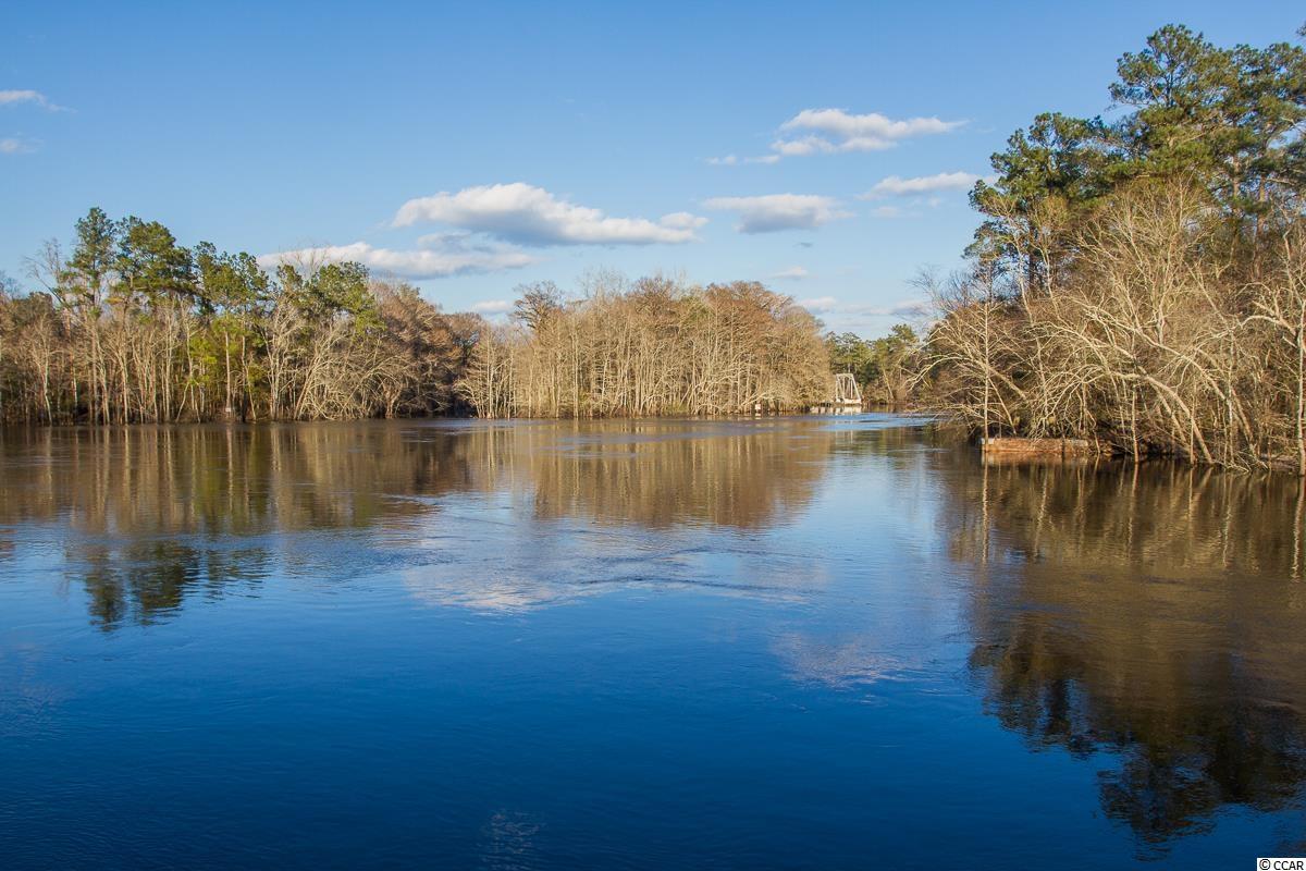 312 Kiskadee Loop, Unit A Conway, SC 29526 - Photo 31 of 32 Gallery Image 31