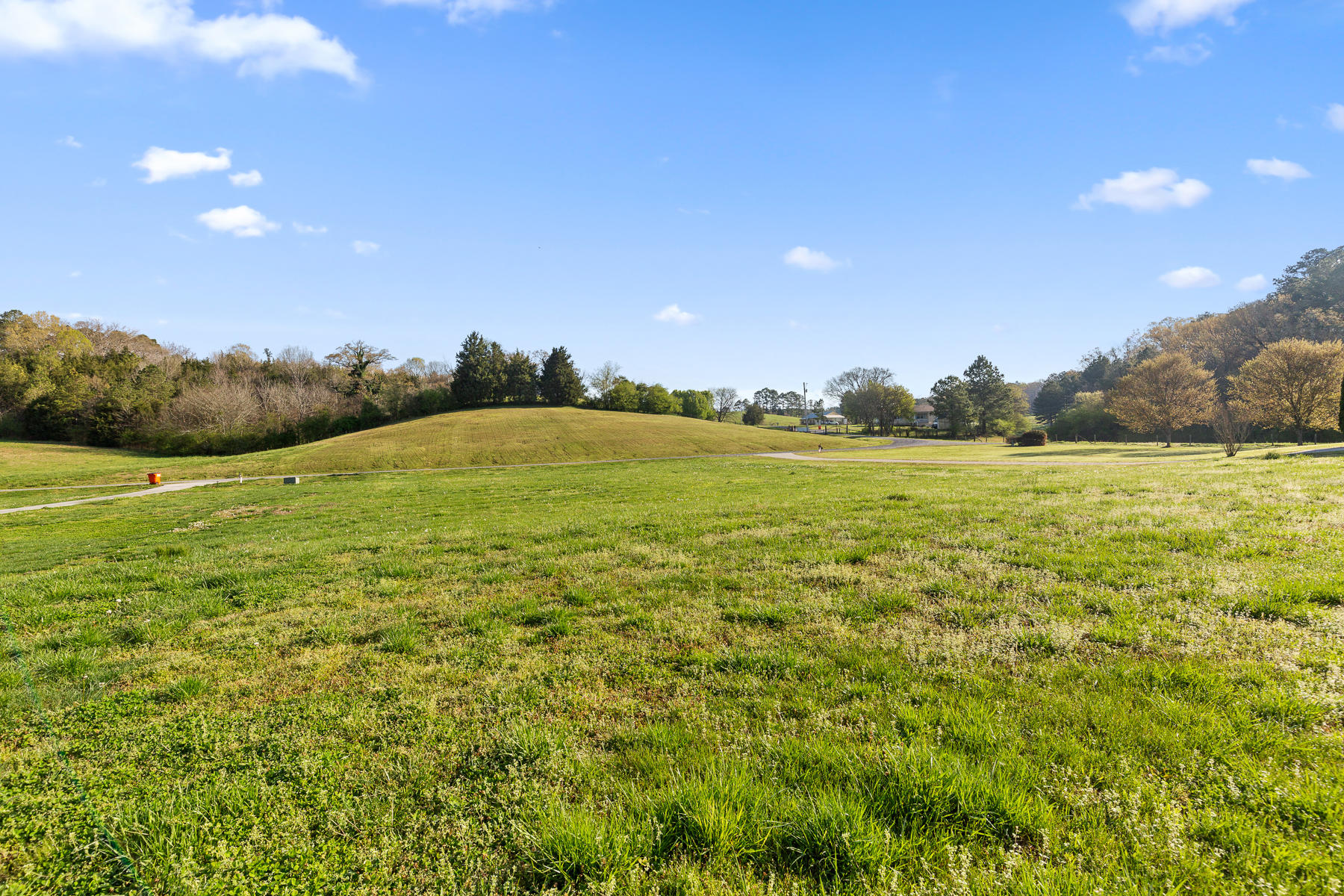 Lot 2 Pinhook Road Calhoun, TN 37309 - Photo 29 of 29 Pinhook (22 of 39)