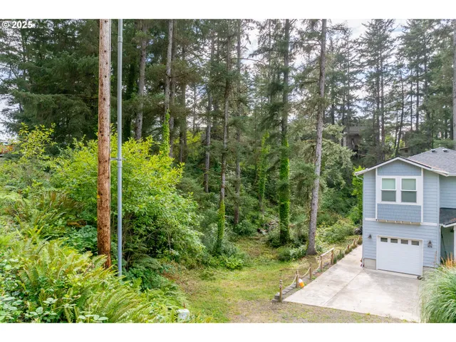 a view of backyard with green space
