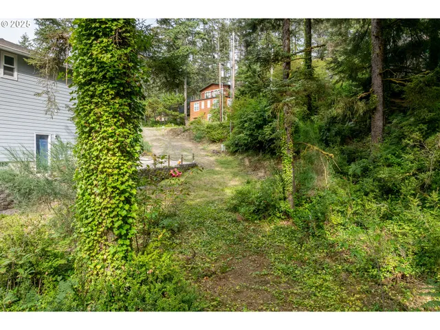 a view of a yard with plants and large trees