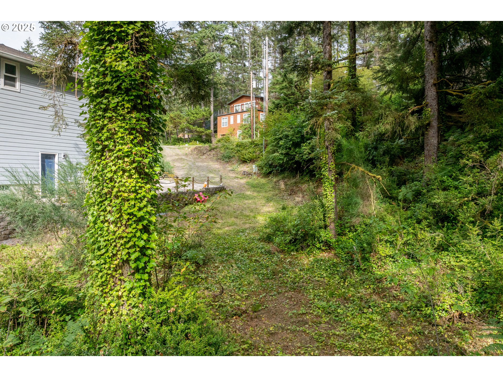1503 Cherry Street Manzanita, OR 97130 - Photo 7 of 18 a view of a yard with plants and large trees